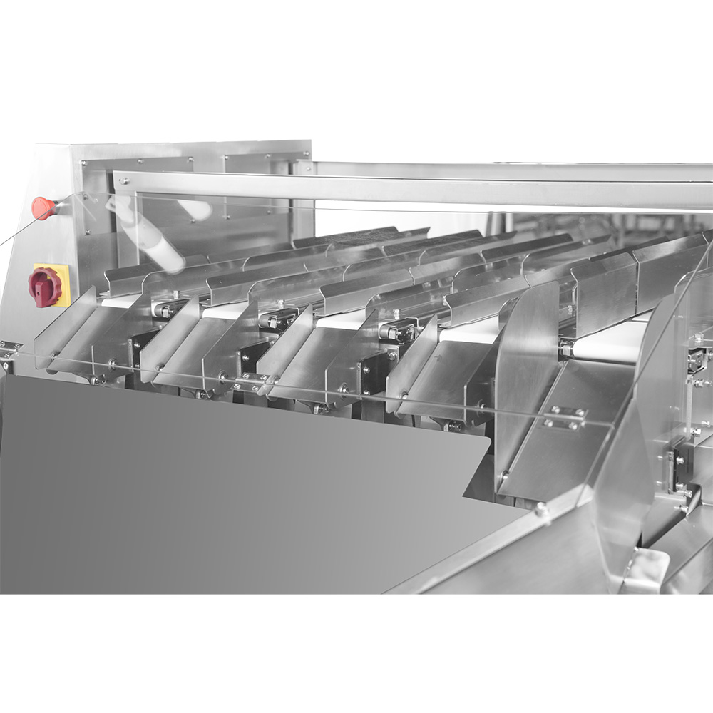 Máquina de pesagem de vários canais de seleção de várias faixas