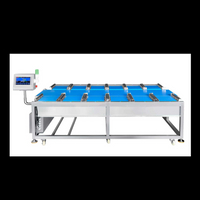 Balança Combinada Linear de 12 Cabeças para Bife Durian