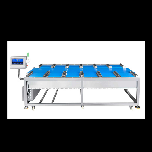 Balança Combinada Linear de 12 Cabeças para Bife Durian