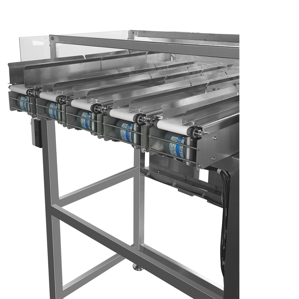 Máquina de pesagem de vários canais de seleção de várias faixas