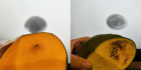 M&aacute;quina de inspe&ccedil;&atilde;o por raios X para aplica&ccedil;&atilde;o em campos &oacute;sseos